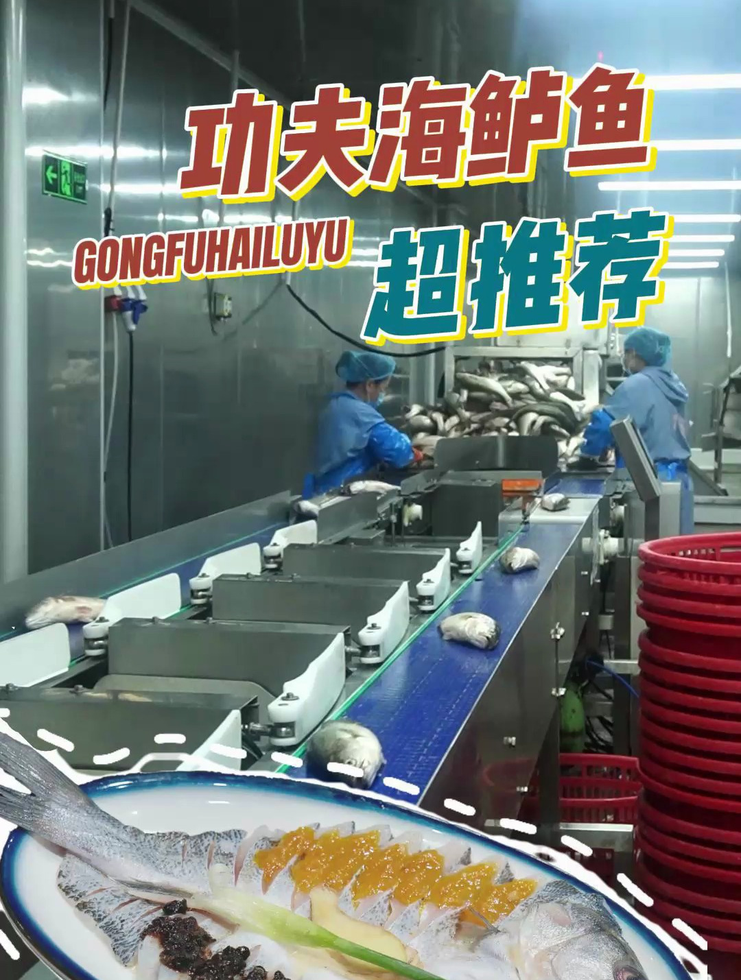 这才是酒店畅销宴席鱼 功夫鲈鱼源头工厂