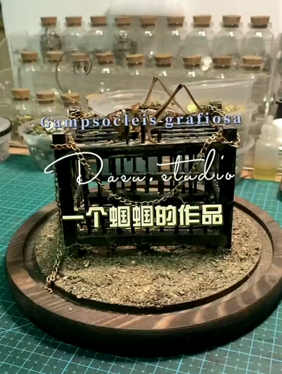 大苏昆虫艺术工作室,蒸汽昆虫,蝈蝈一个蝈蝈与笼子的作品