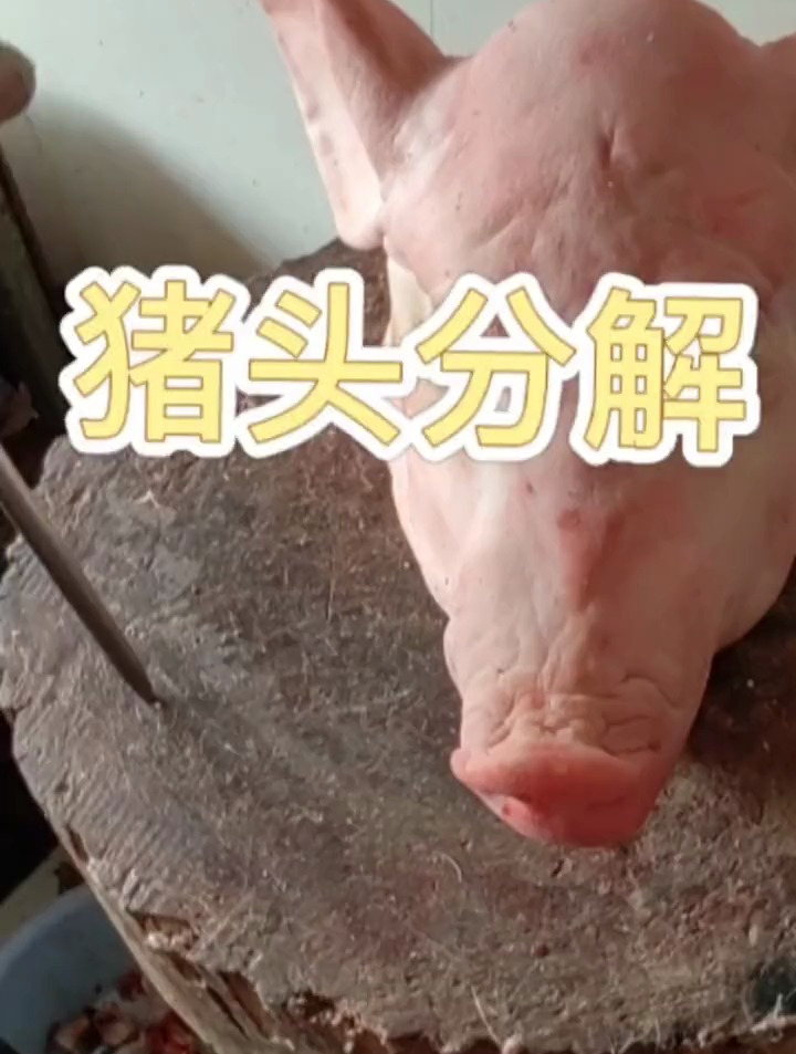 分解猪头 猪肉 放心肉 刀工 猪头肉 三农