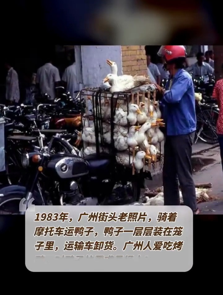 1983年,广州街头老照片,广州人爱吃烤鸭,对鸭子的需求量很大!