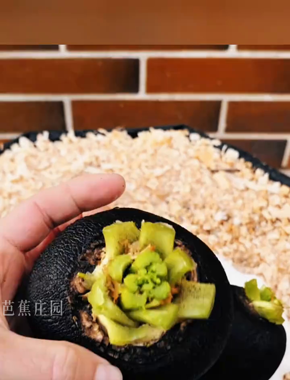 尝过这些稀奇古怪的菜没?能吃过两种就算你牛!