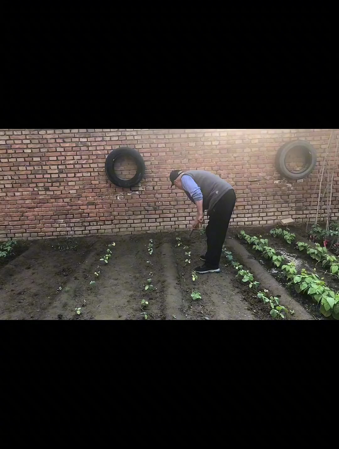 今天吃粘卷子熬鱼一锅熟