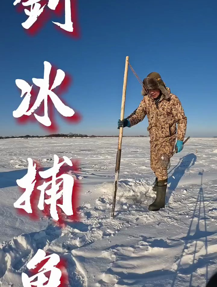 钊冰下鱼伞网捕鱼,太爽了