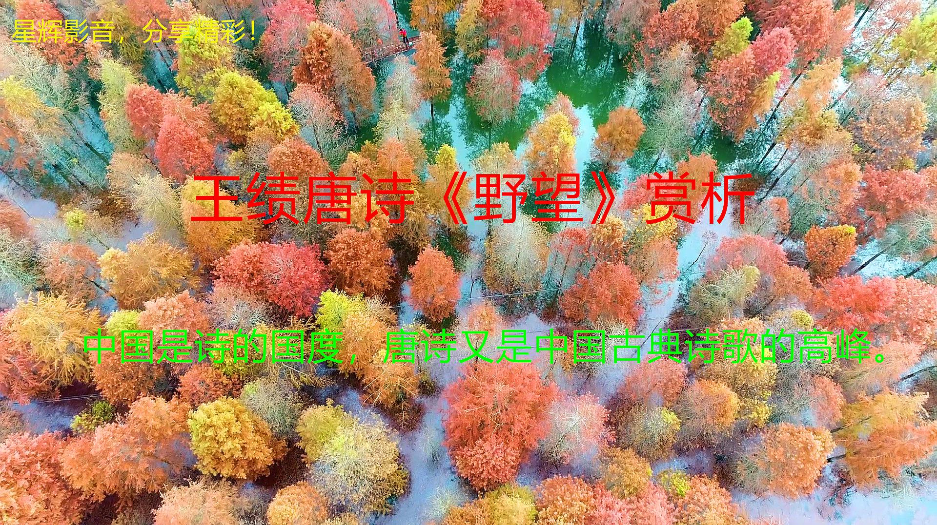 [图]王绩唐诗《野望》赏析