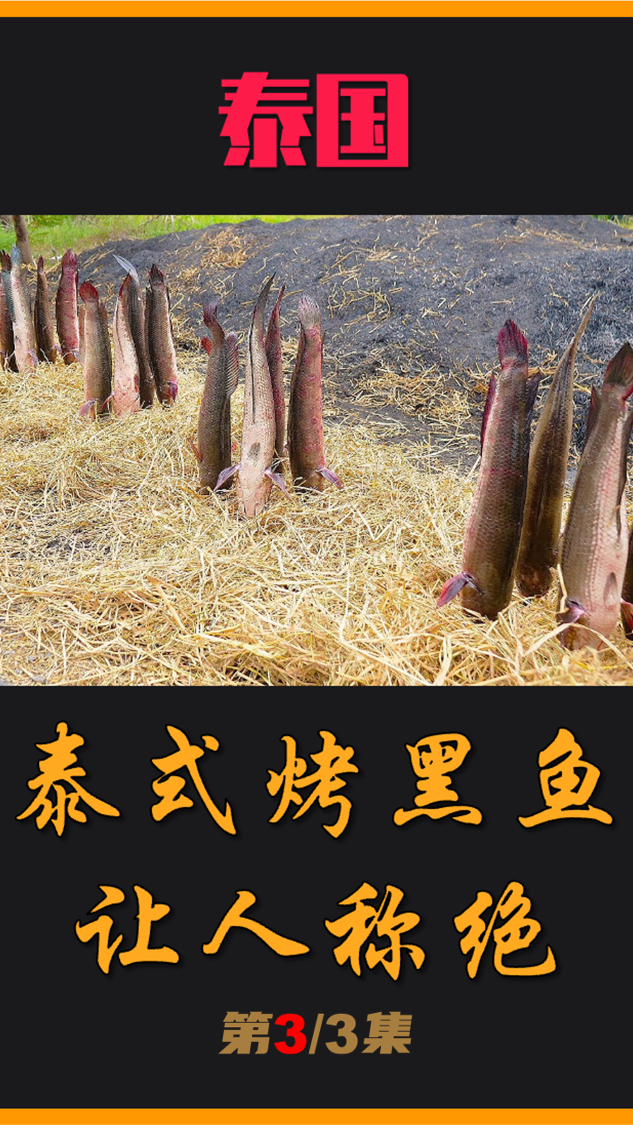 黑鱼的泰式吃法,方法简单粗暴,绝对让你眼前一亮!(03)