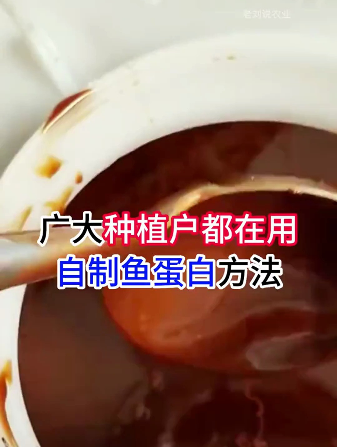 自制鱼蛋白的方法