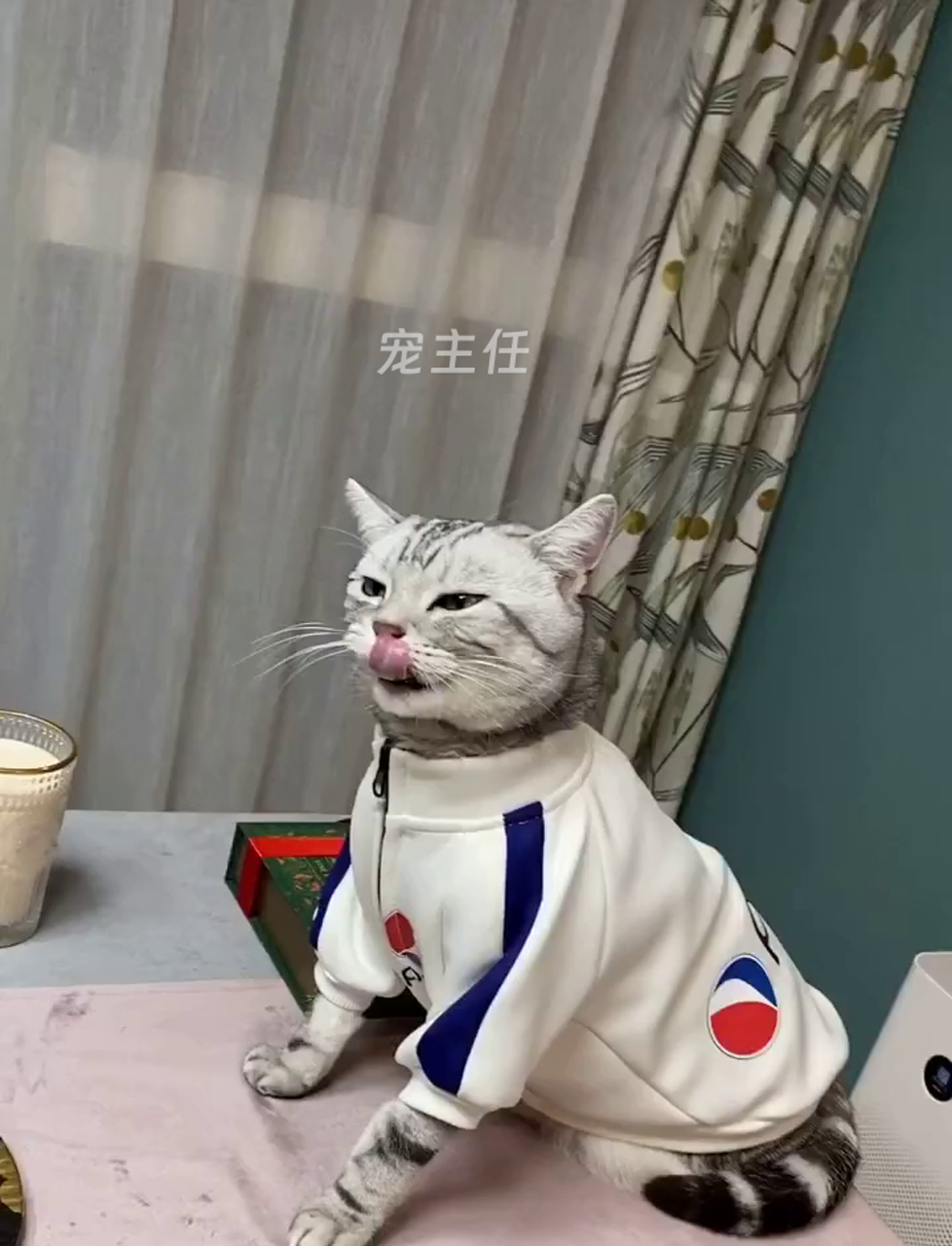 原来相亲可以这么轻松,泡芙和我想象中的不一样……