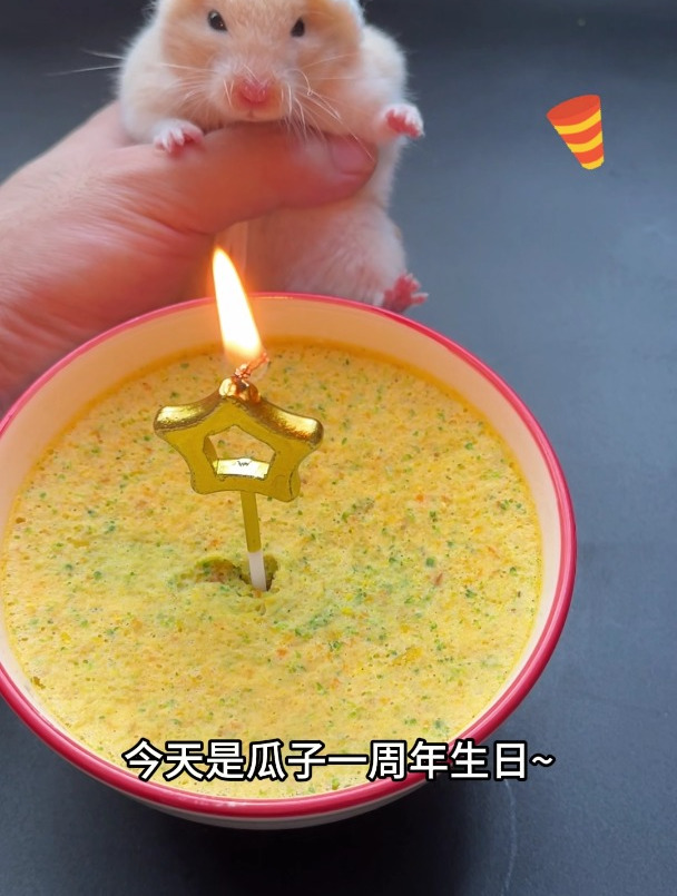 今天是小仓鼠的一周年生日~我给它做生日蛋糕