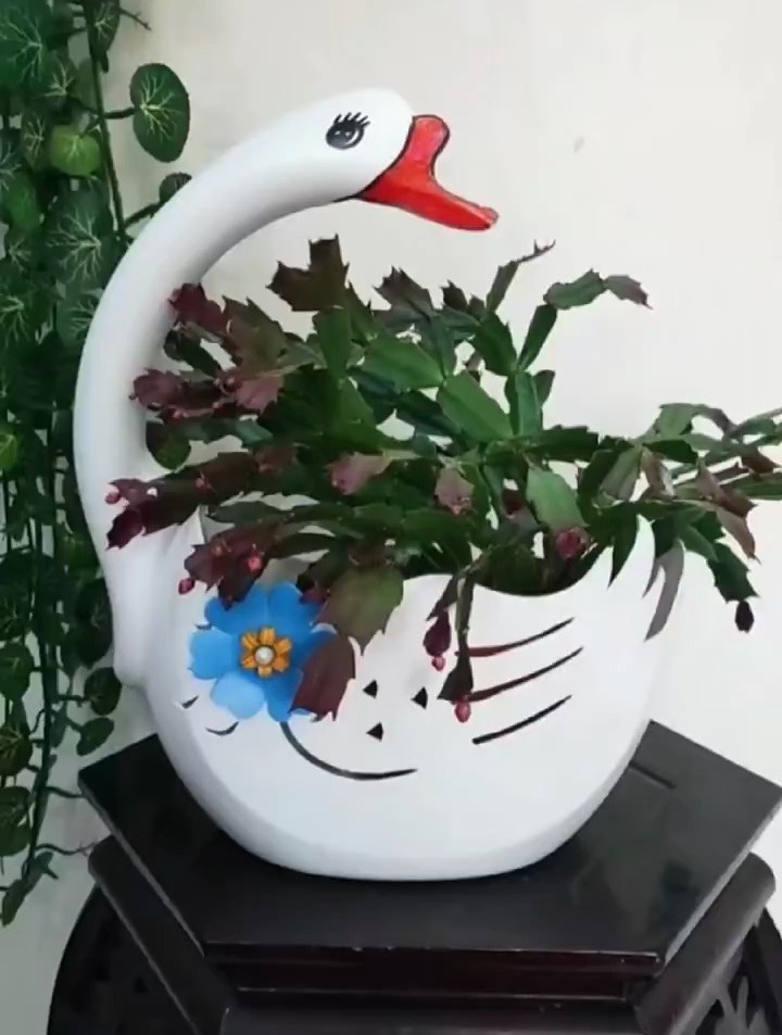 洗衣液瓶制作大白鹅花盆,简单美观又实用
