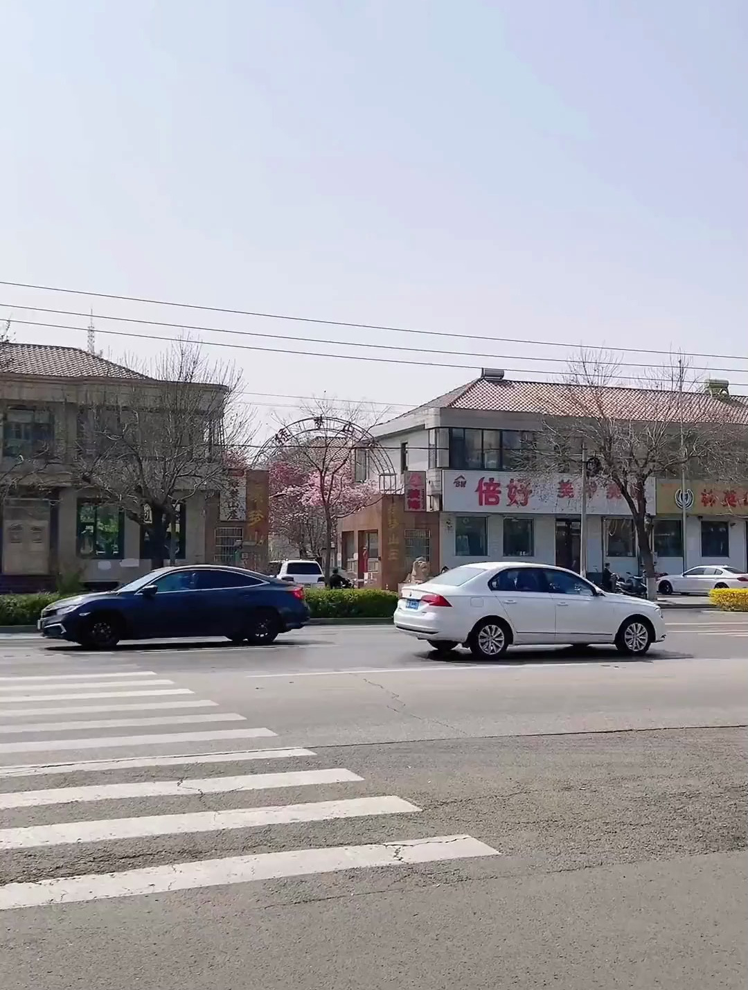 遵化新开的这家烤肉,他家的炙烤活鳗鱼堪称镇店之宝