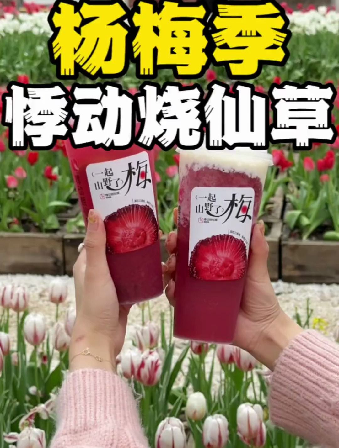 据说是古代贵妃专属的宫廷饮品,来试试这次悸动烧仙草的杨梅系列