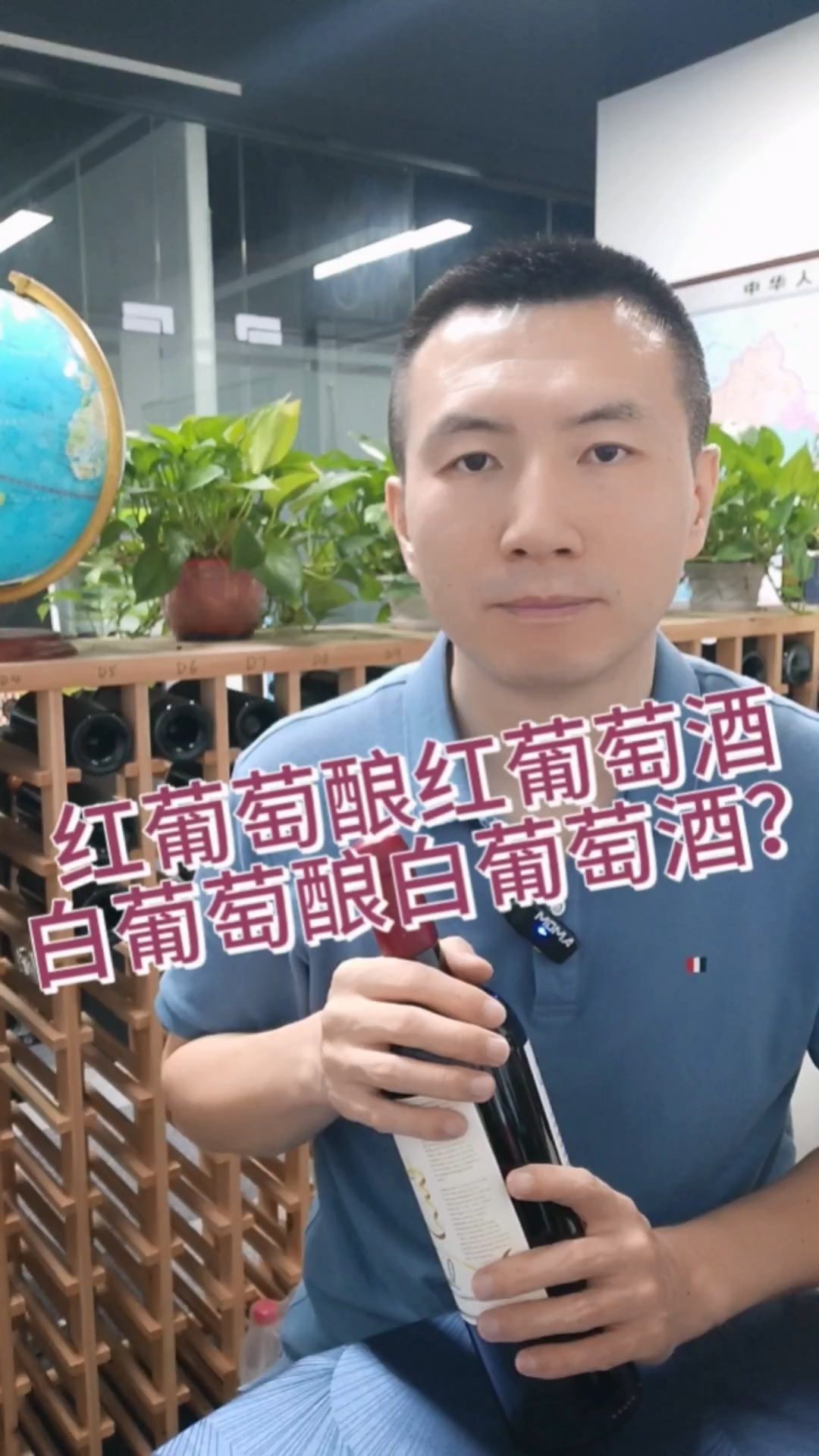 红葡萄酿红葡萄酒,白葡萄酿白葡萄酒吗?
