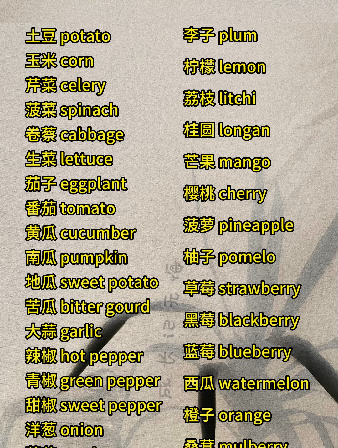 蔬菜水果英语单词大全