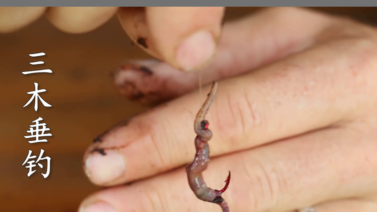 蚯蚓挂钩法! #钓鱼# #户外# 钓鱼技巧@百家号百家榜
