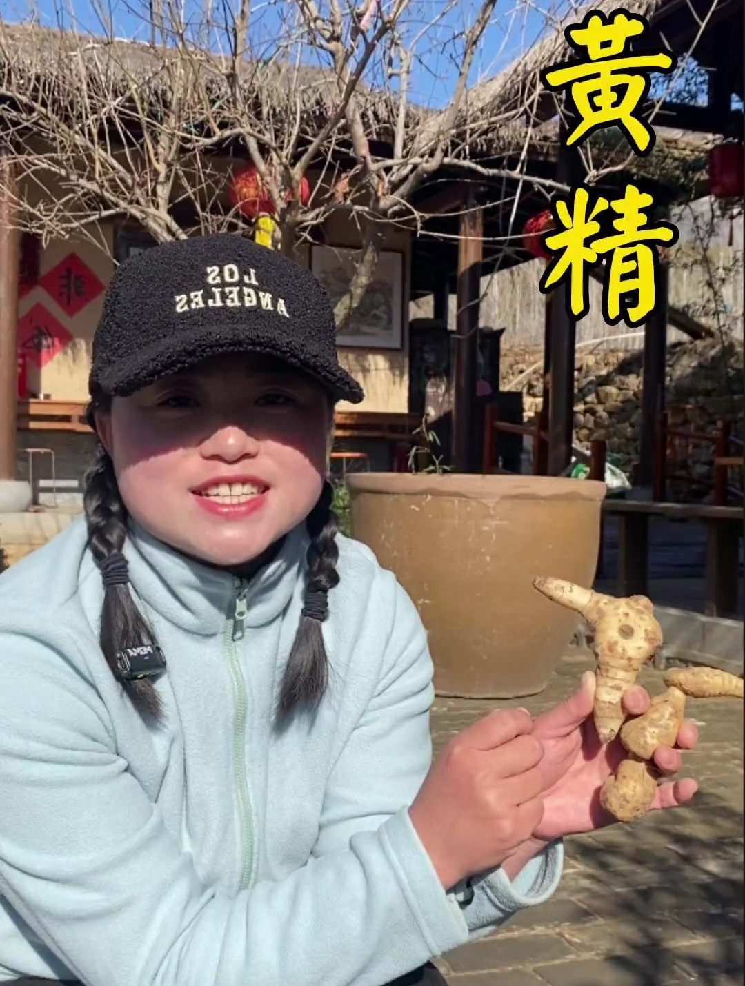 嵩山地区的鸡头黄精,又叫鸡头姜,你们那的黄精是什么品种呢?