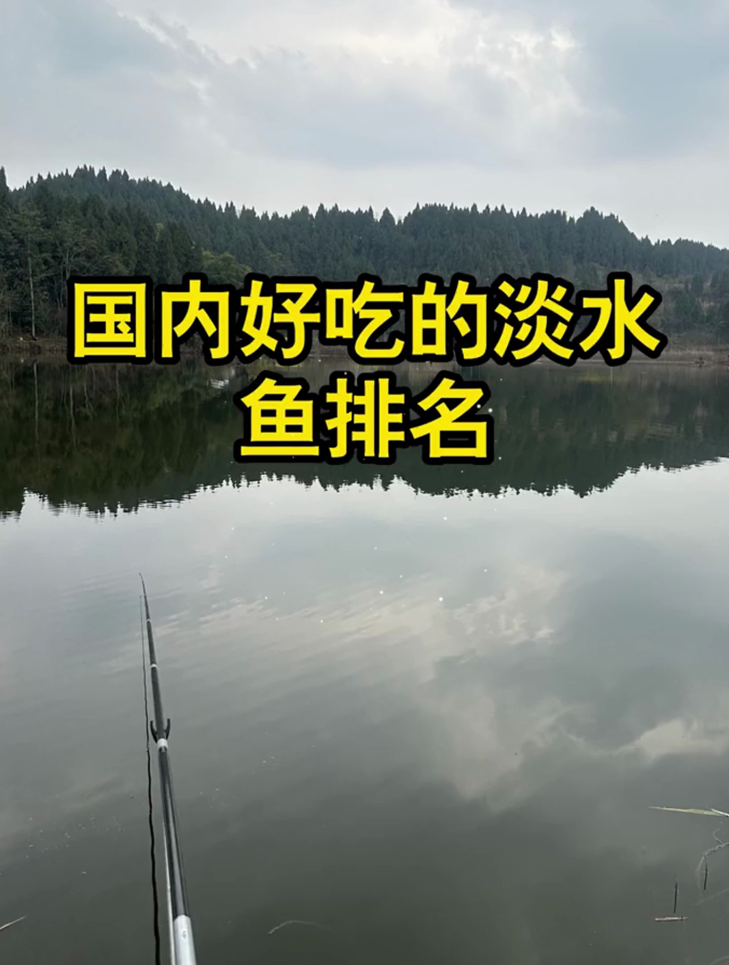 国内好吃的淡水鱼排名!你知道几个?