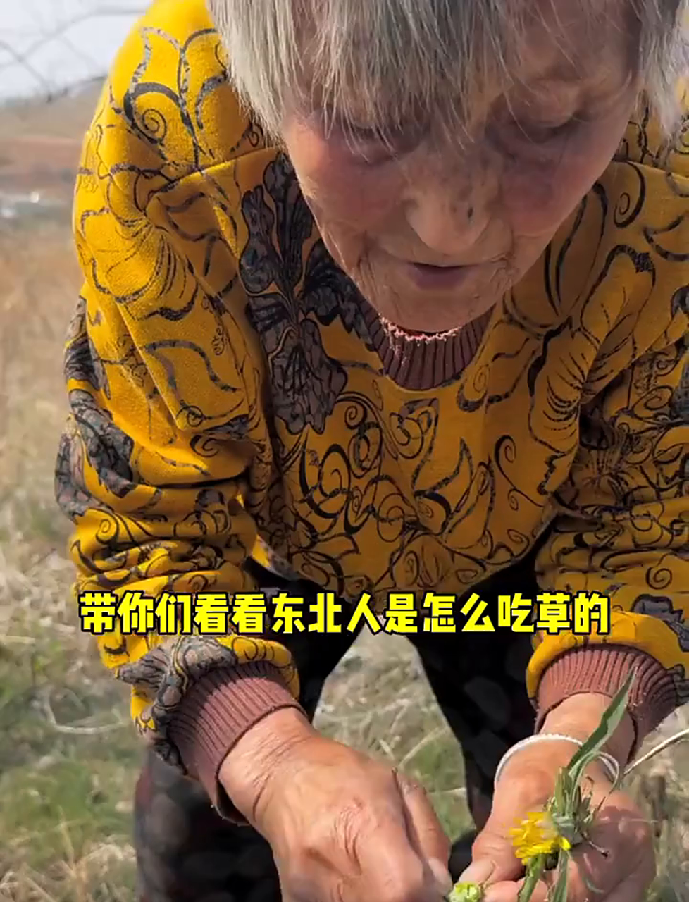 东北兄弟们，又到了你们吃野菜的时候了！