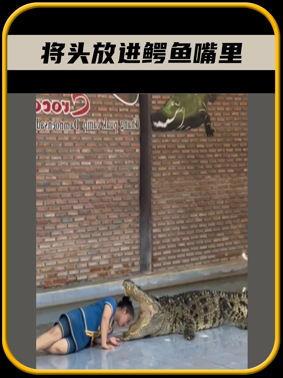 将头放进鳄鱼嘴里,为什么不会被鳄鱼咬,太有趣了