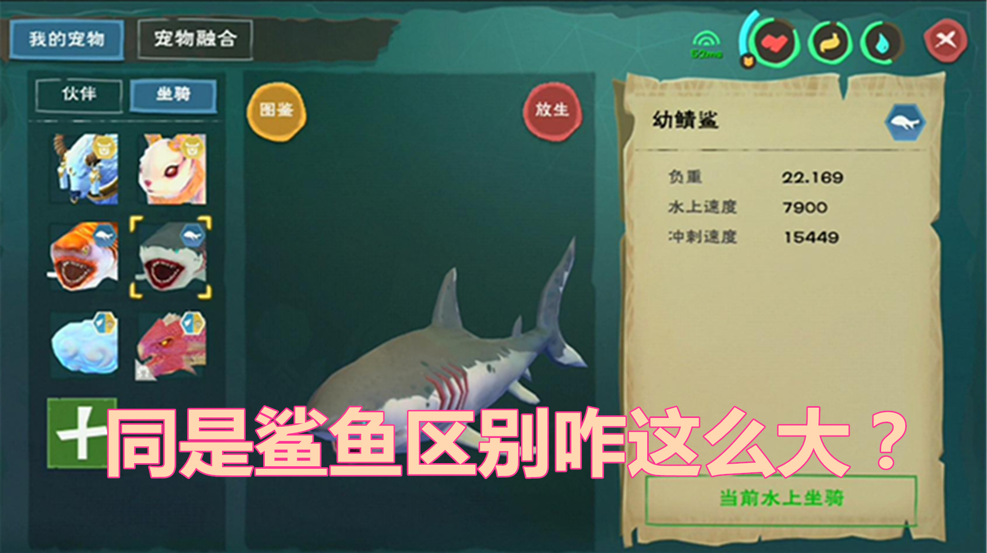 周姐解说:创造与魔法1833期,同是鲨鱼区别怎么这么大啊!