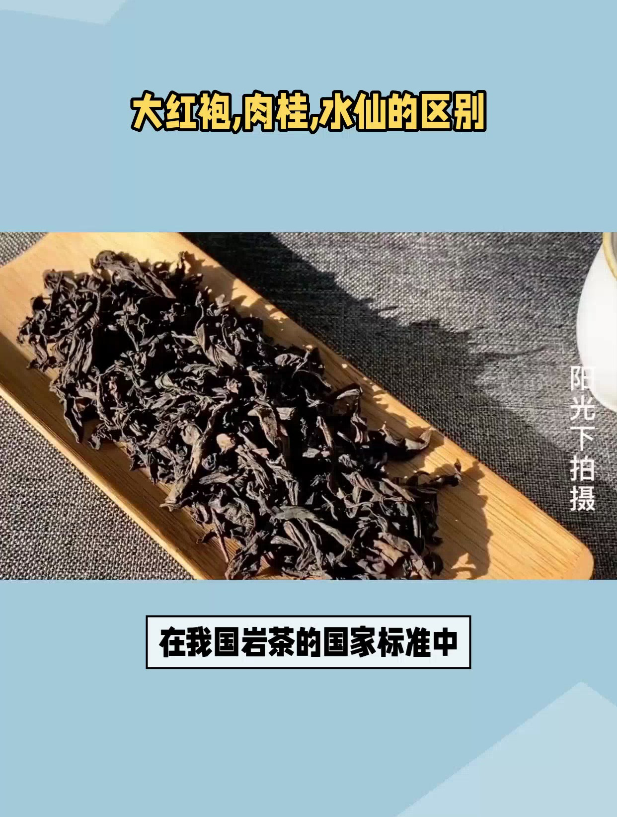 大红袍,肉桂,水仙的区别