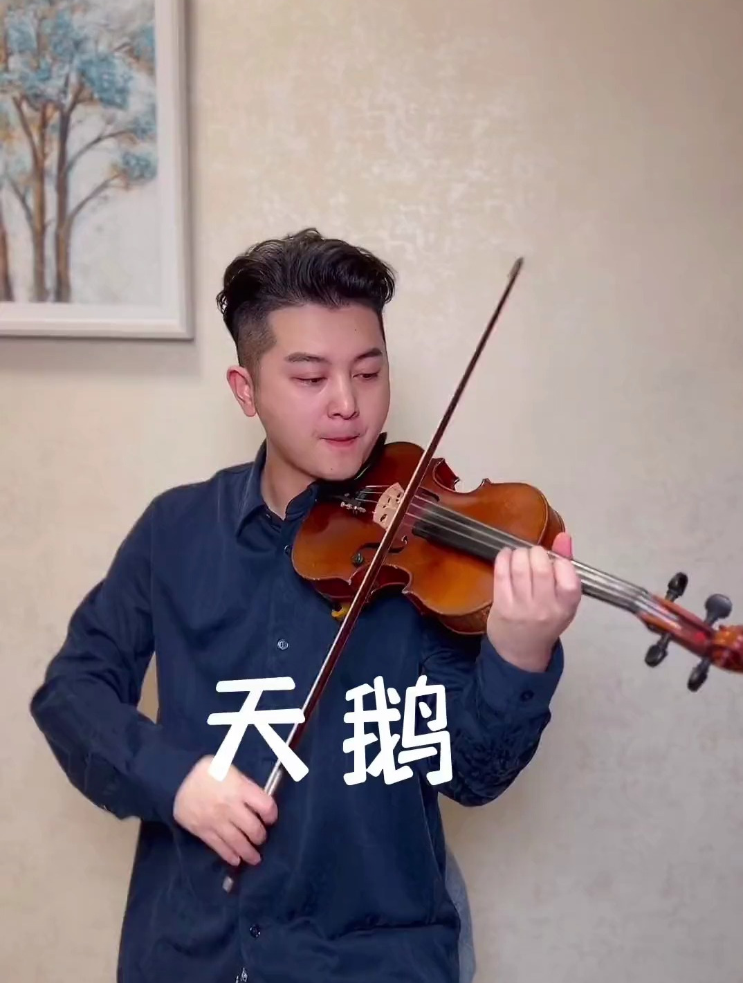 愿丑小鸭真的可以变成白天鹅,小提琴,神仙bgm《天鹅》