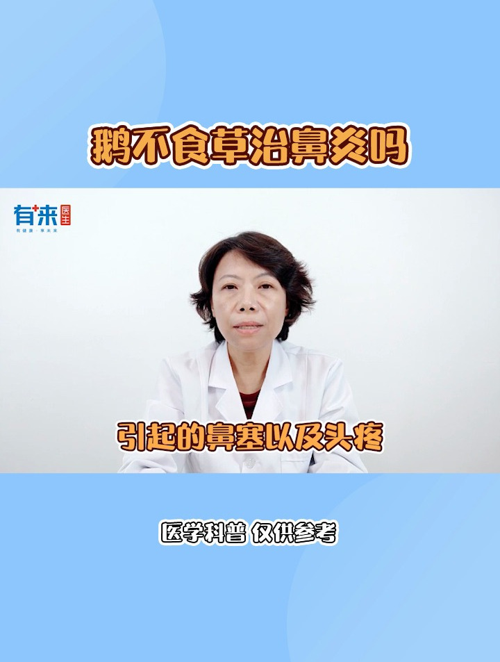 鹅不食草治鼻炎吗