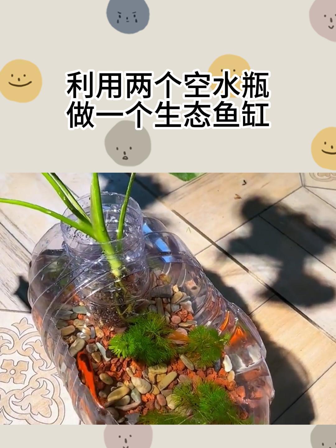 利用两个空矿泉水瓶做个生态鱼缸