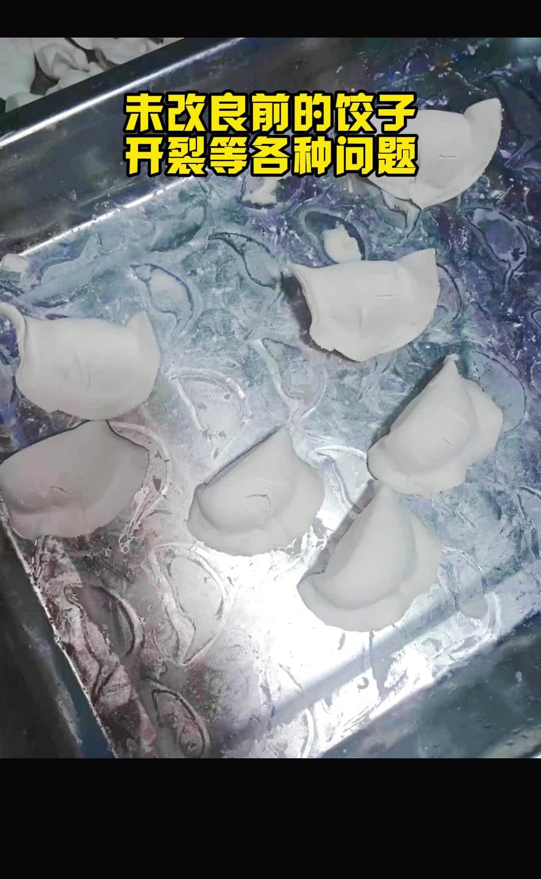 饺子馅料如何降低成本,饺子馅料豆有哪些口味