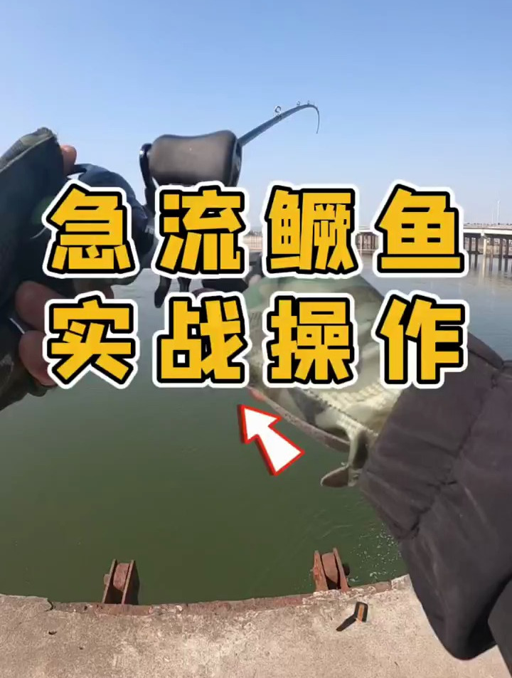 急流铅头钩钓鳜鱼操作手法和技巧,上鱼简简单单