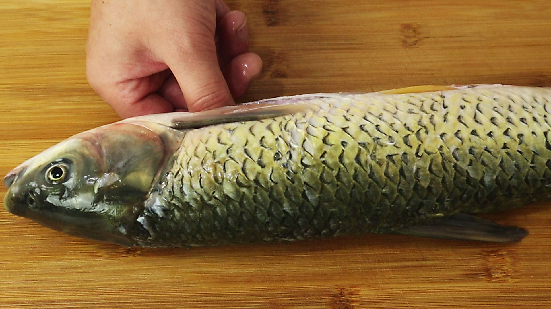 才知道鱼肉去刺这么简单，2分钟去除干净，方法真管用，收藏了