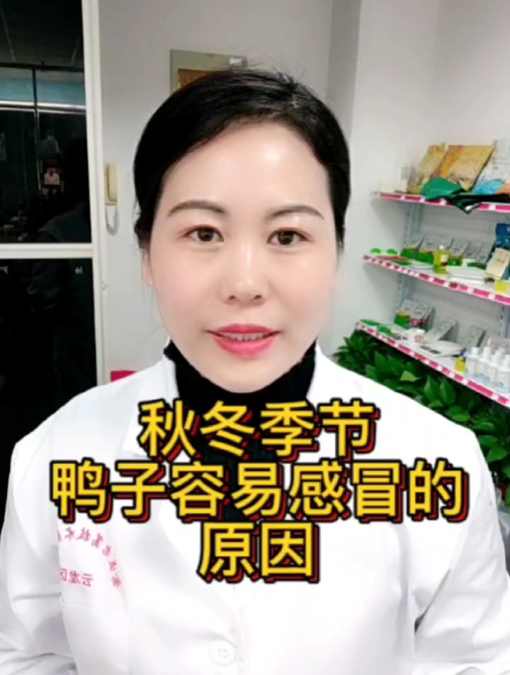 秋冬季鸭子容易感冒的原因