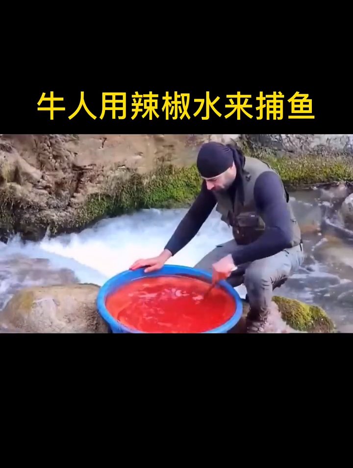你们知道用辣椒水就可以抓到大量的鱼儿吗,来看看是怎么做到的吧