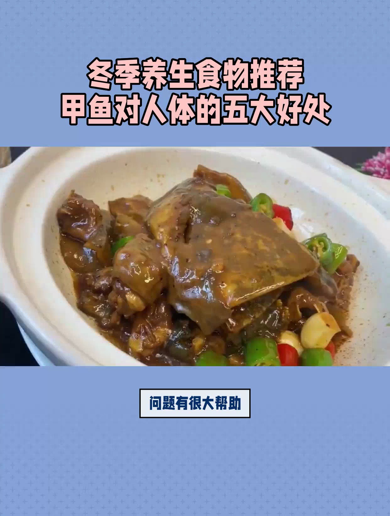 甲鱼的功效与作用