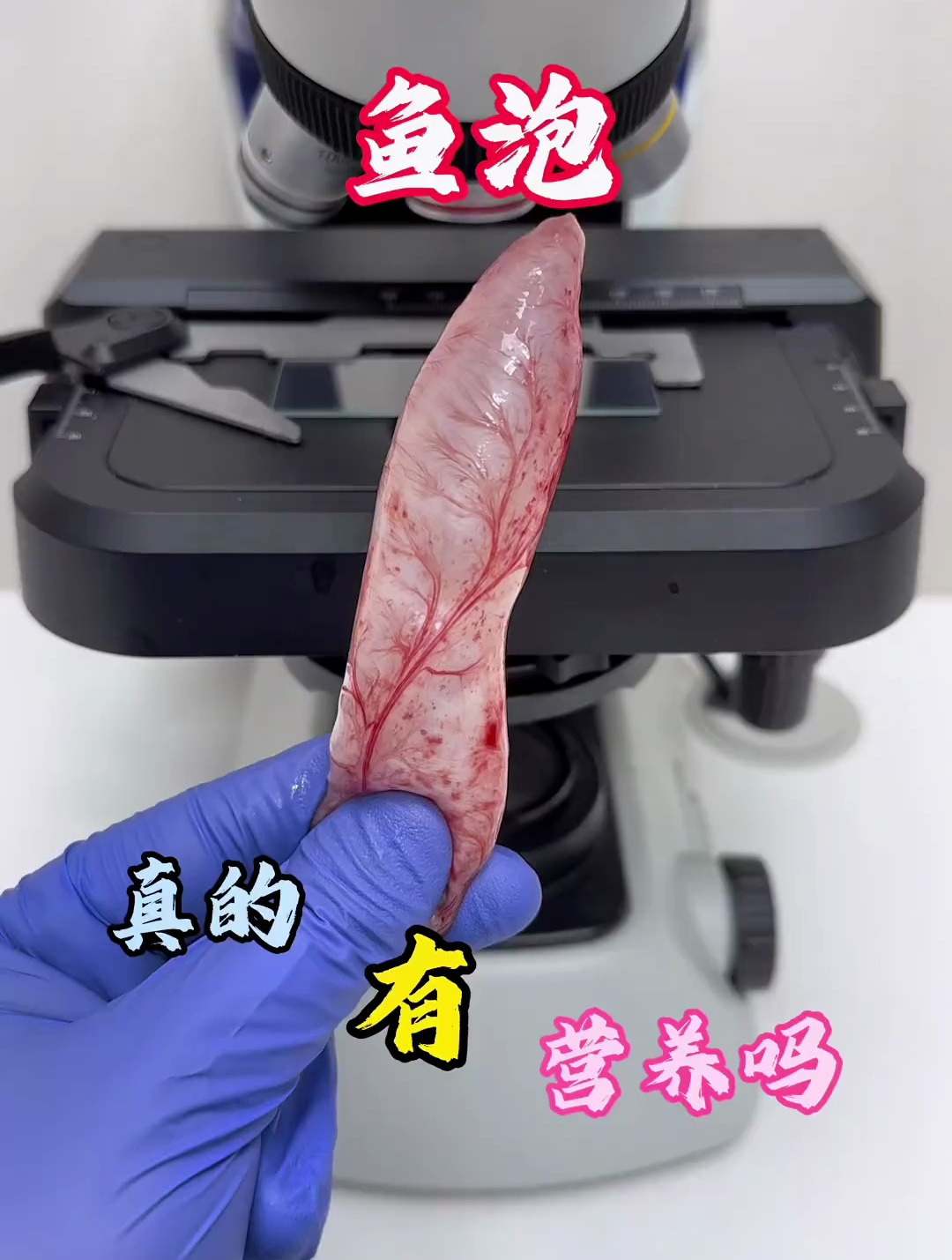 鱼泡真的有营养吗?