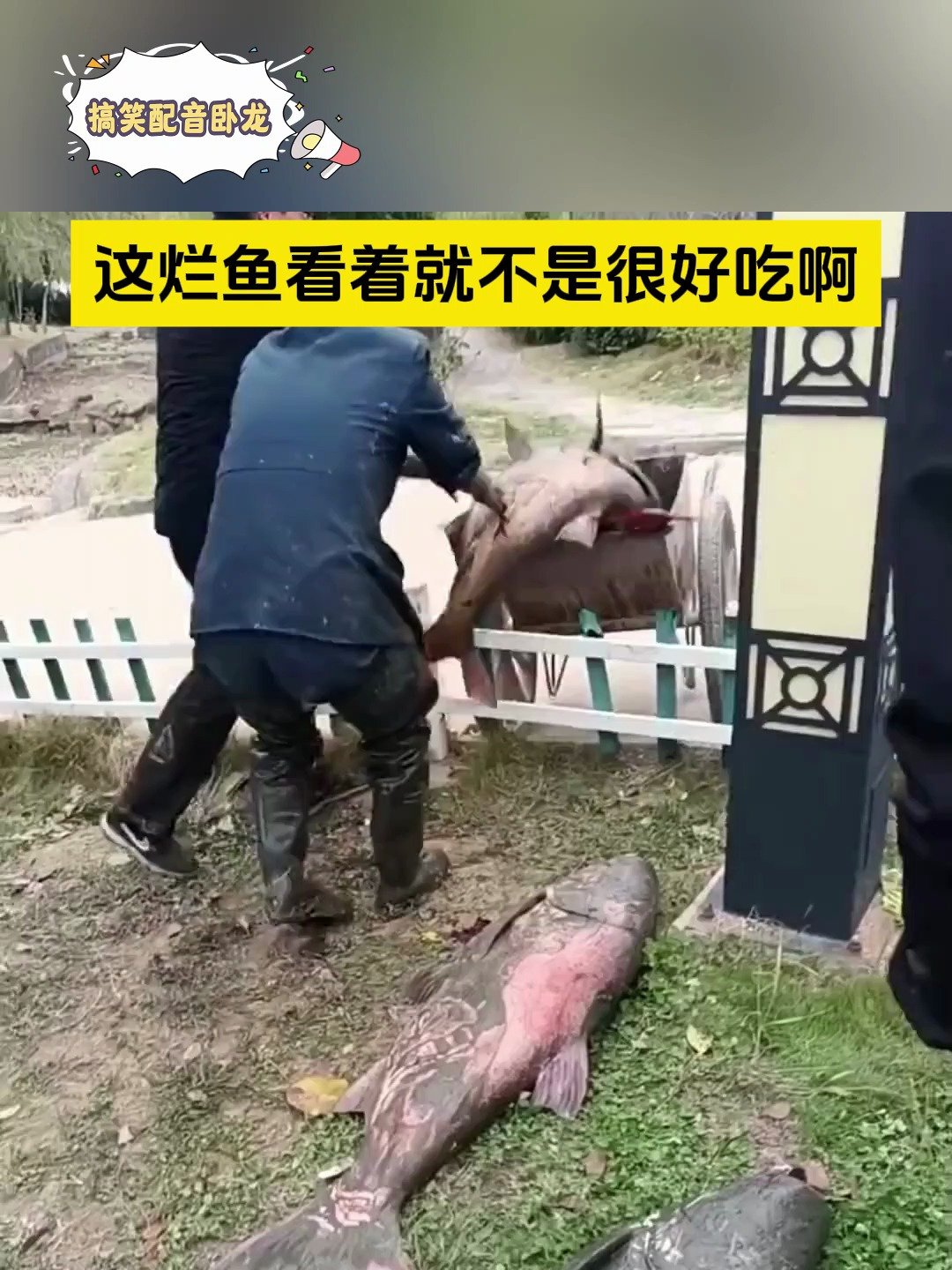 这烂鱼看着就不是很好吃啊!