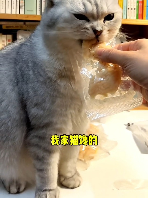 9块9一袋的鸡胸肉,每包都是独立小包装,配料是鸡胸肉和水