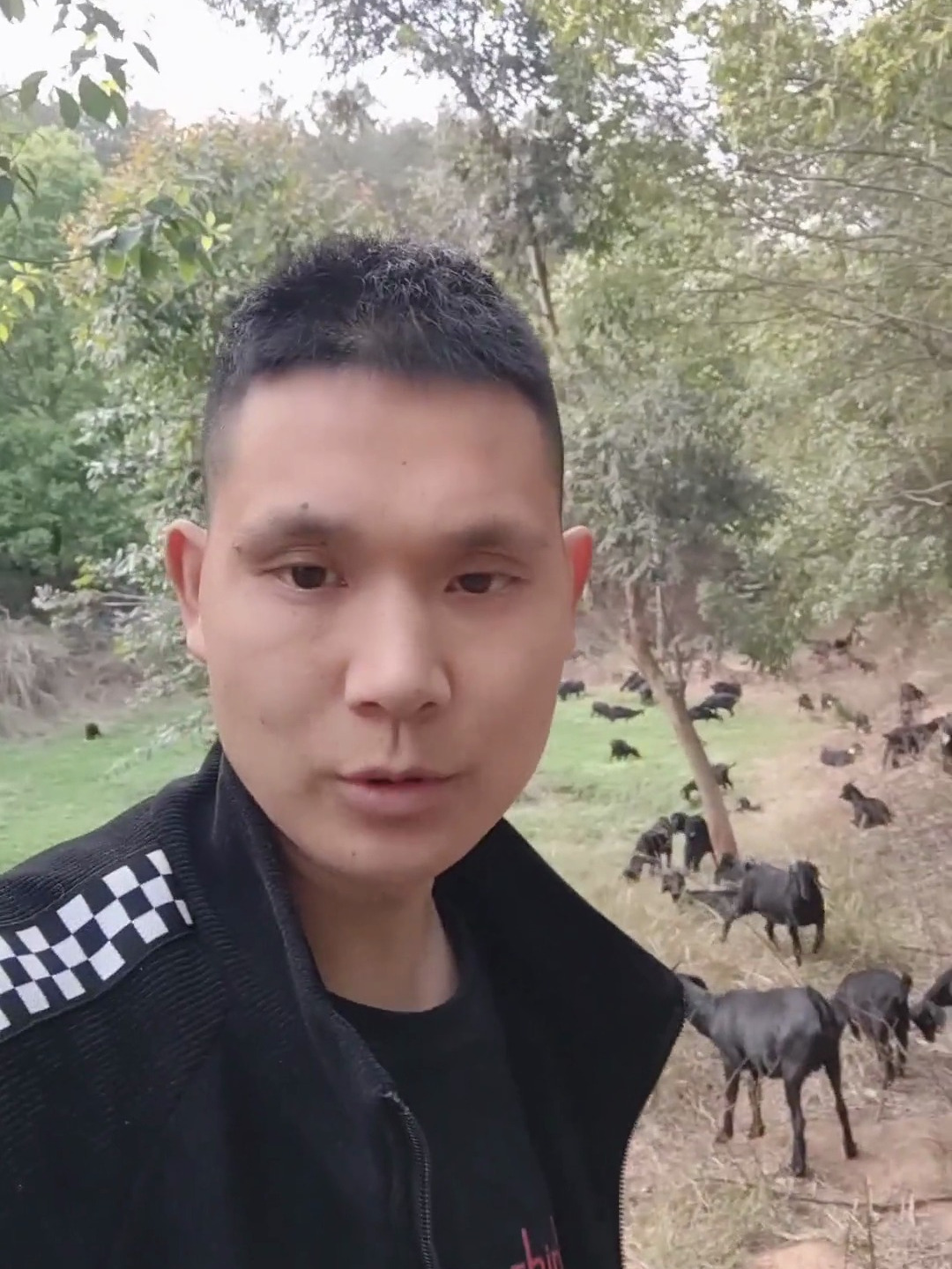 山羊肉好吃还是绵羊肉好吃