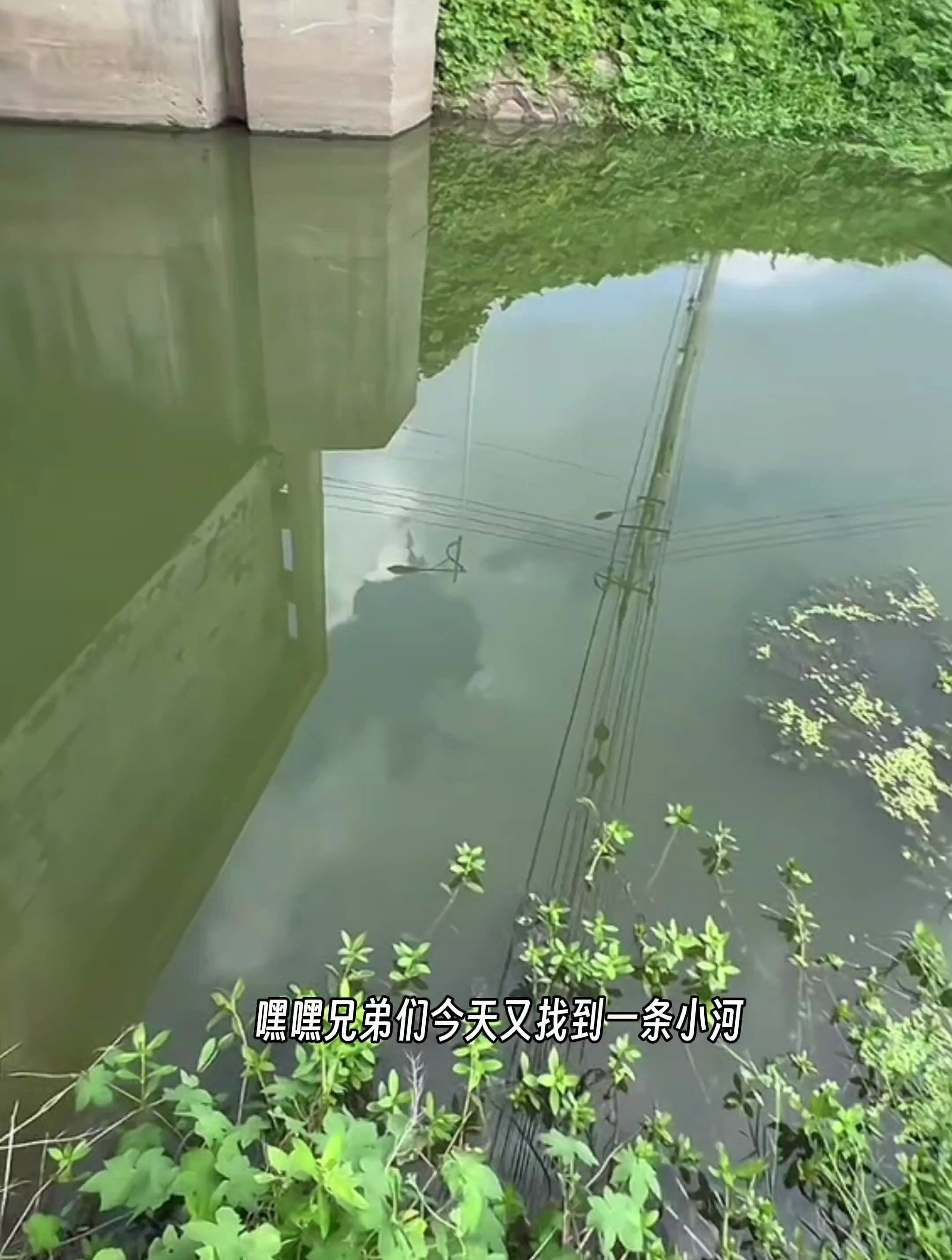 小河鲤鱼连竿~太爽了吧