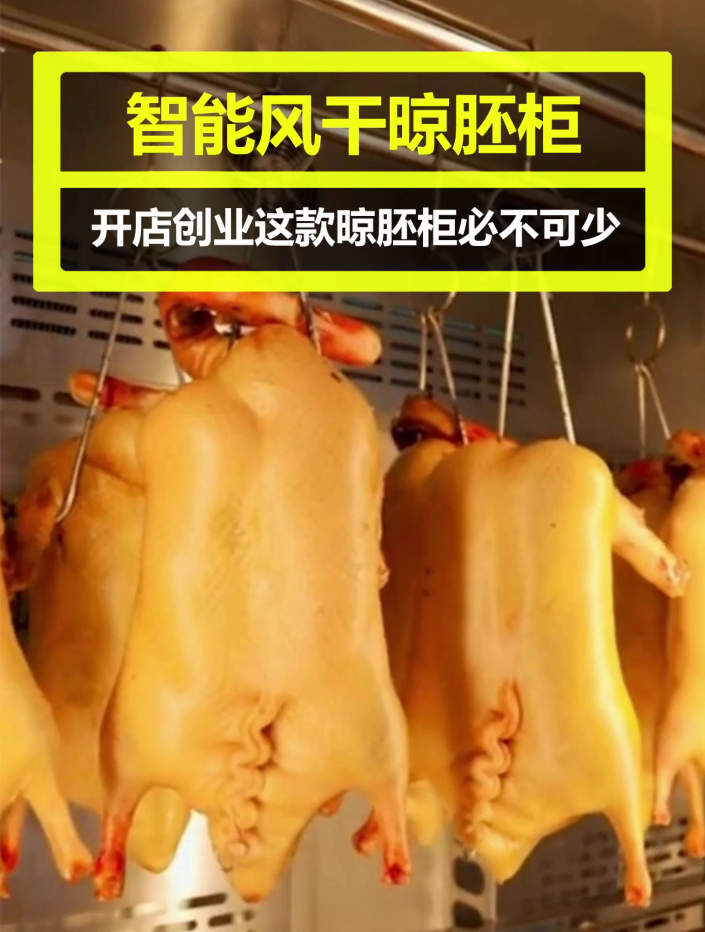 不管是北京烤鸭店还是广式烧腊店必备的一款晾鸭风干柜