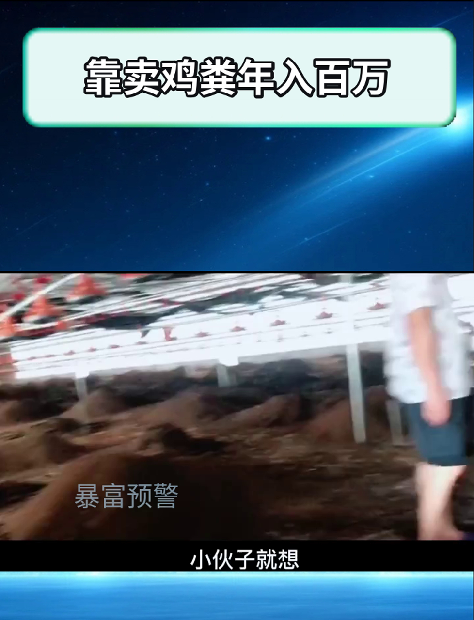 靠卖鸡粪年入百万