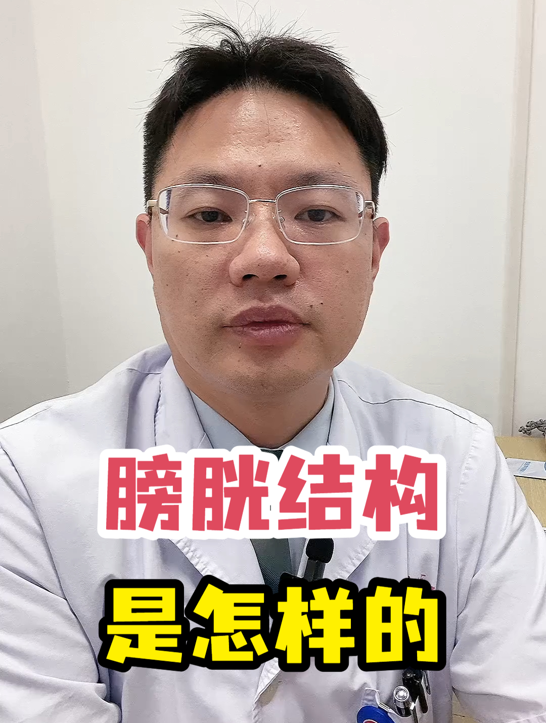 膀胱结构是怎样的