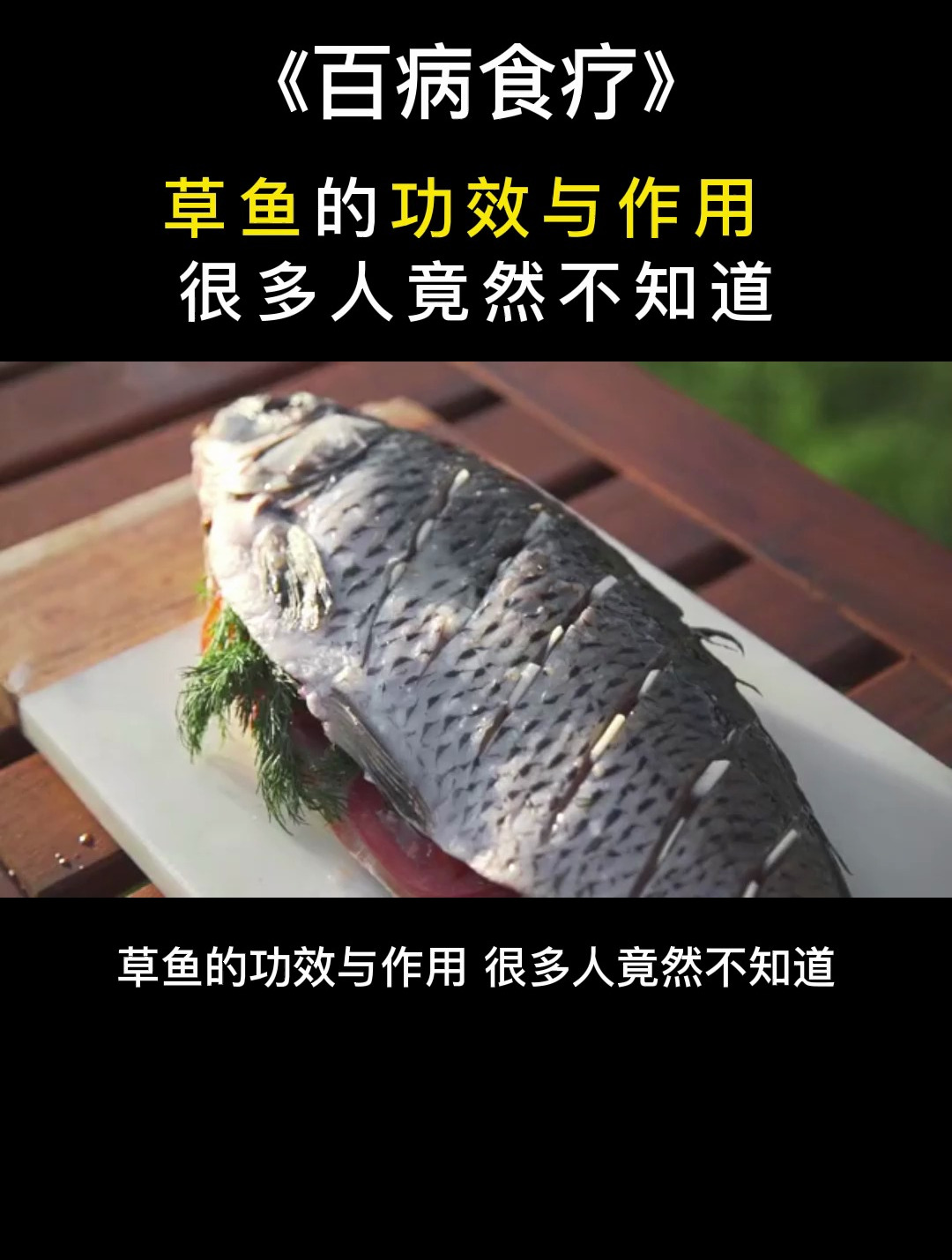 食疗:草鱼的功效与作用,很多人竟然不知道