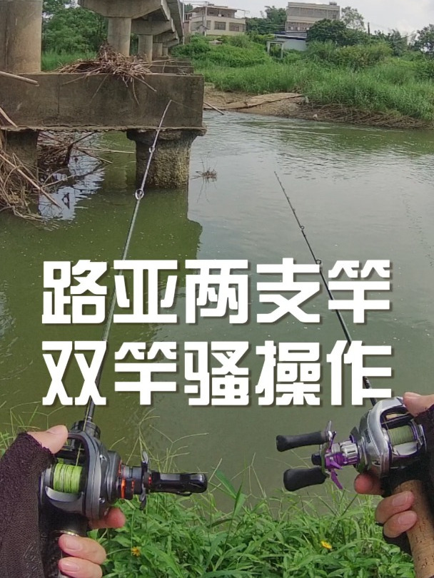 路亚两支竿鱼获堆成出!双竿骚操作!