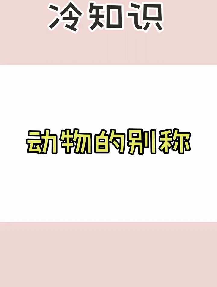 动物的别称,你知道吗