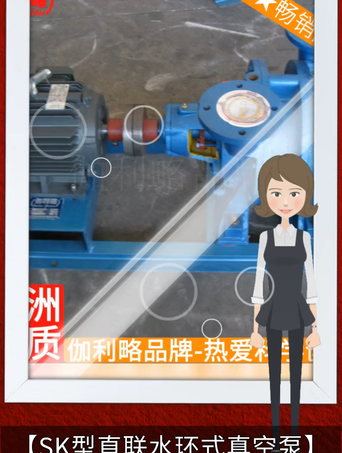 sk-2水环式真空泵