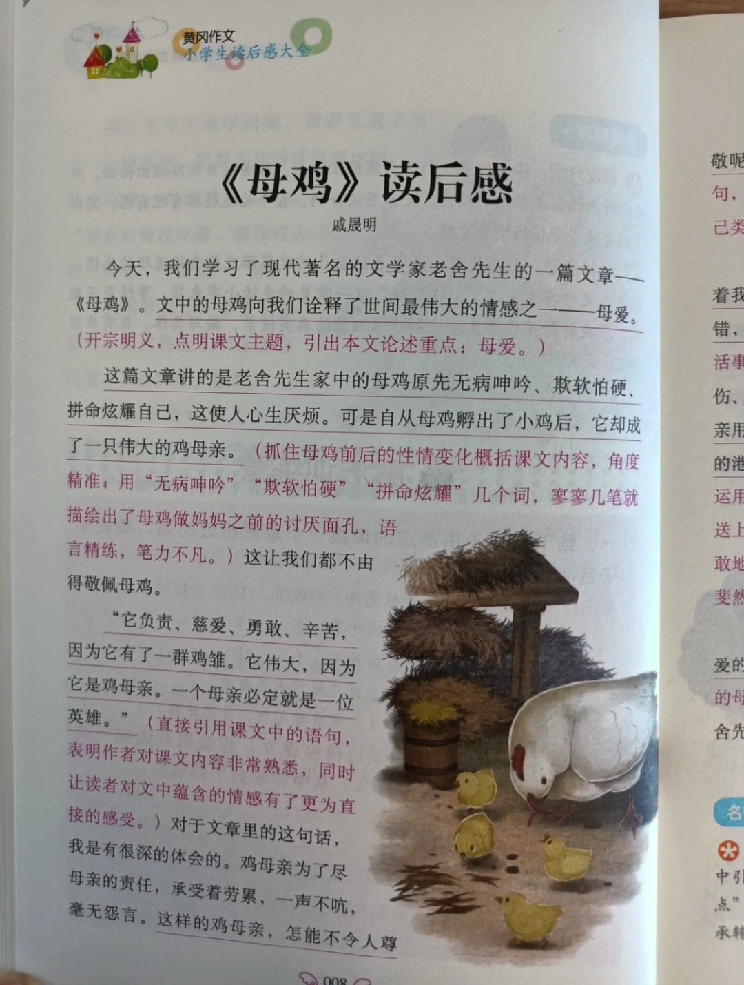 小学课文《母鸡》读后感,准确提炼“感点”,结合生活感悟,满分