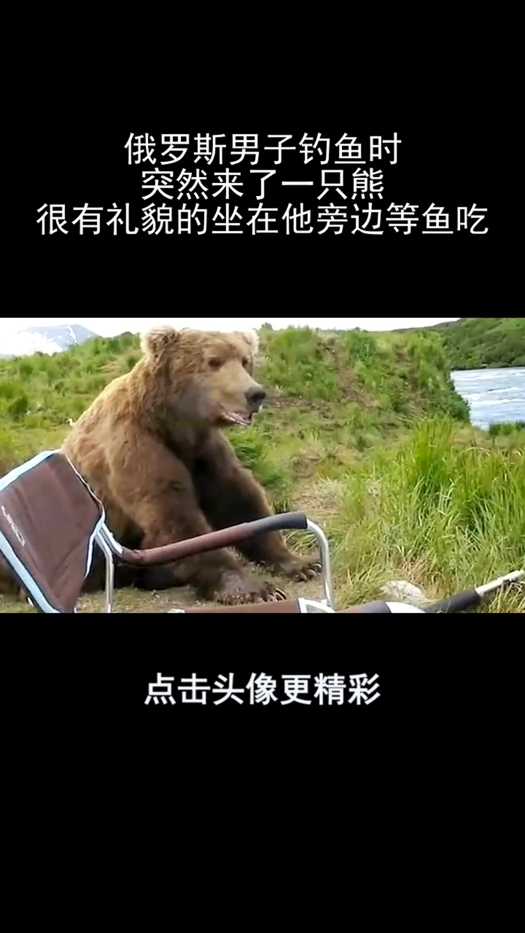 俄罗斯男子钓鱼时,突然来了一只熊,很有礼貌的坐在他旁边等鱼吃