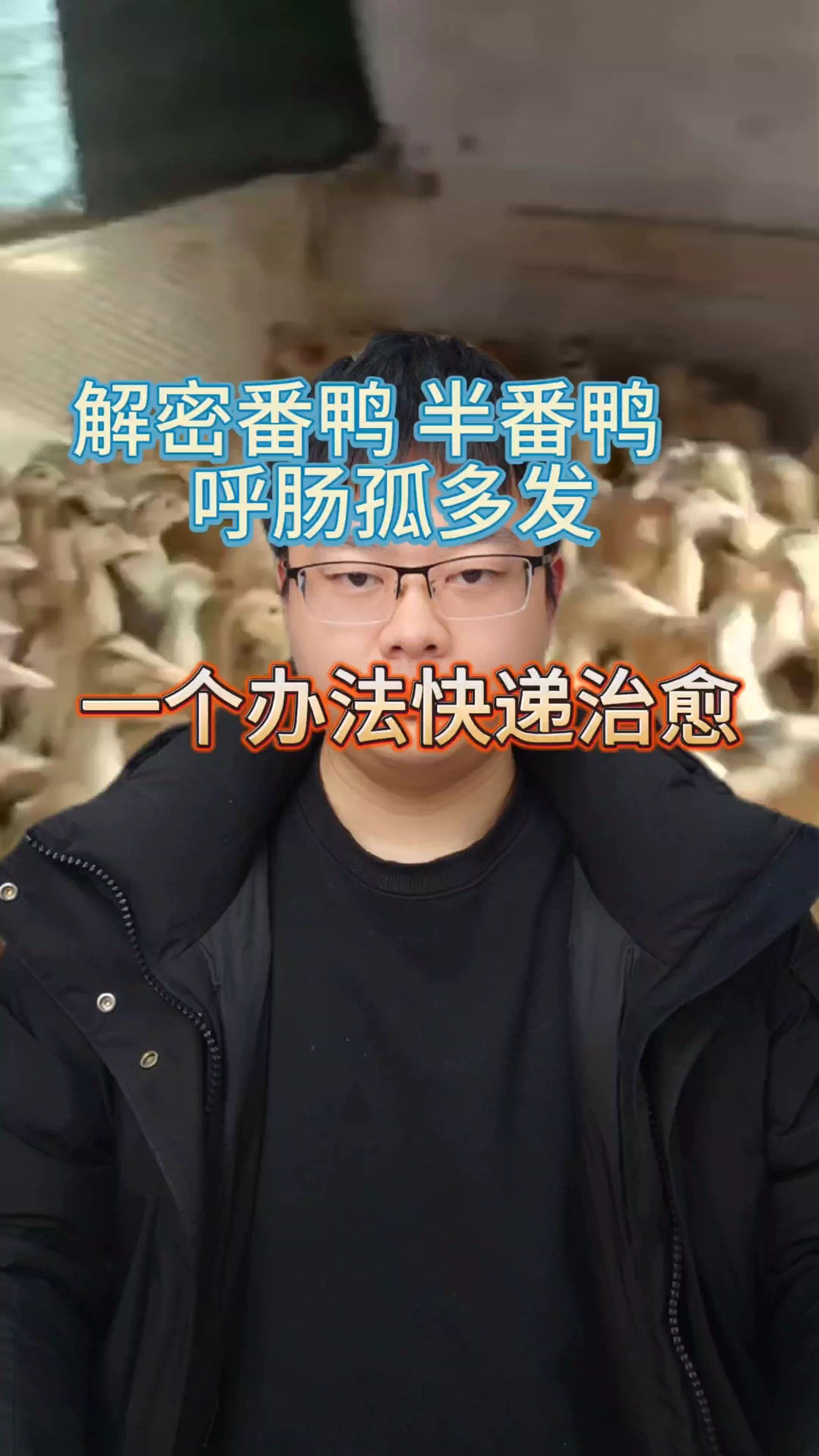 番鸭、半番呼肠孤多发怎么解决 番鸭呼肠孤病毒特效 番鸭呼肠孤