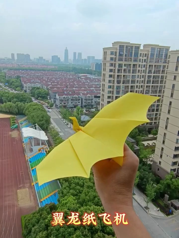翼龙纸飞机折法教程,形态逼真,飞行平稳