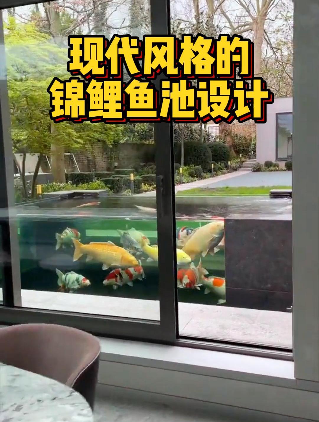 现代风格的锦鲤鱼池设计,你喜欢吗